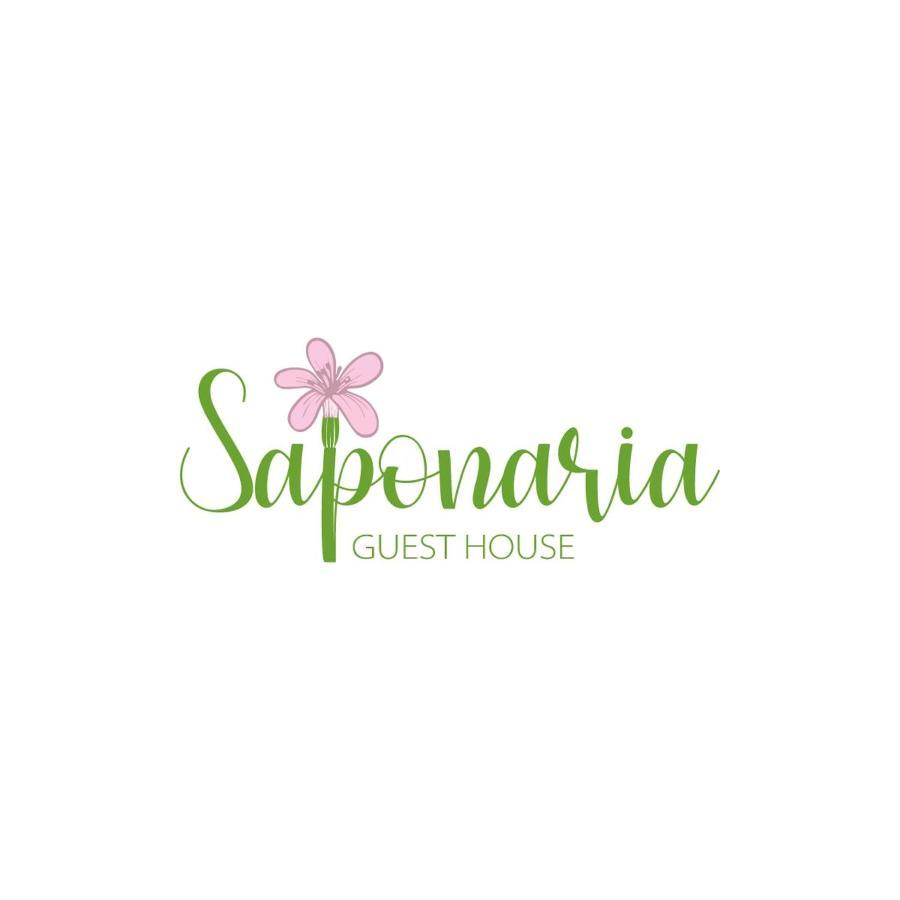 Saponaria Casa Al Mare Leilighet CTA Eksteriør bilde